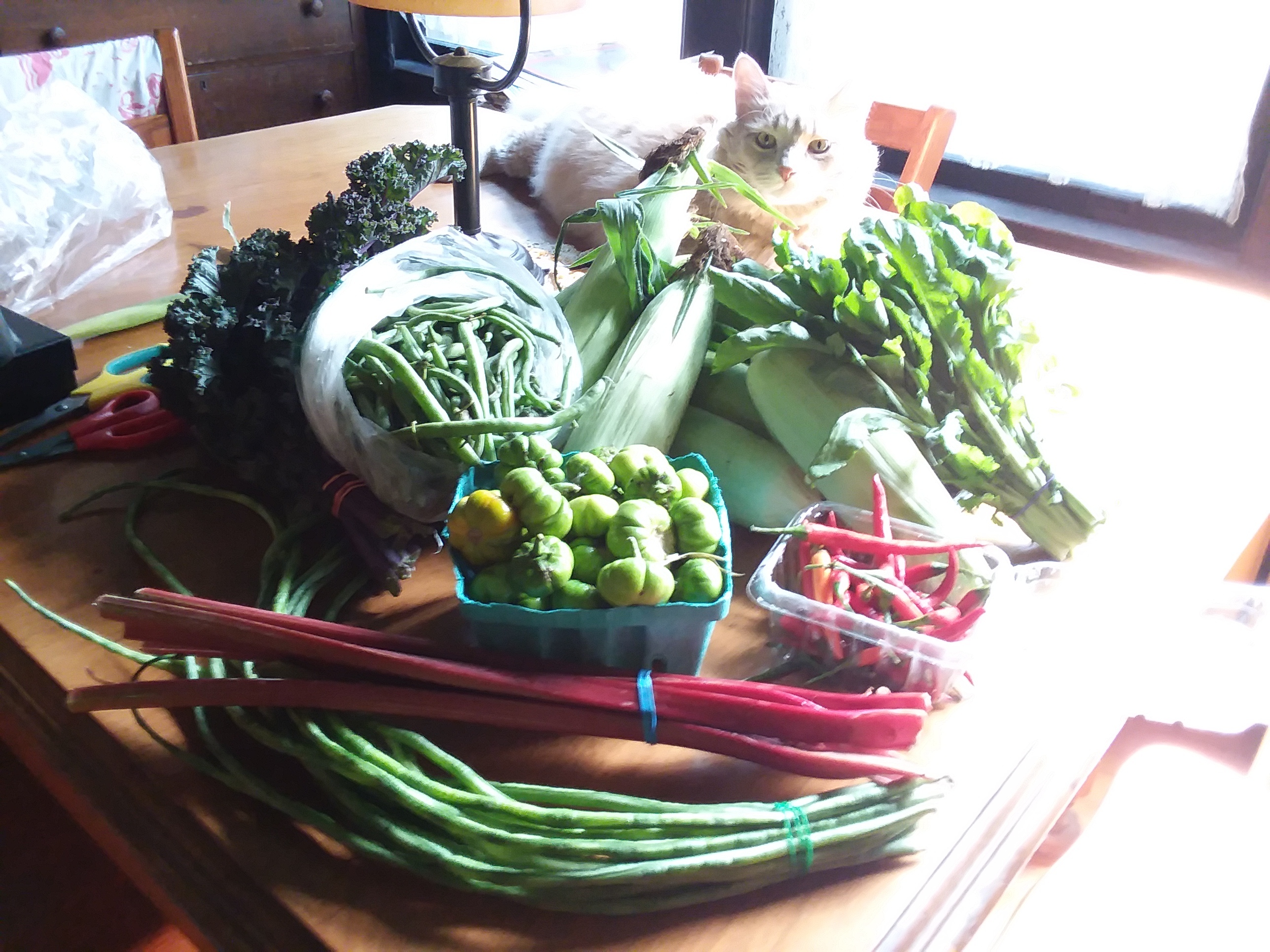 a table full of bounty