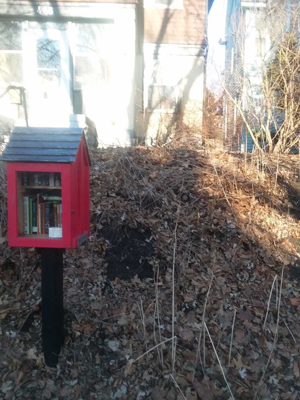 Hillside with our little free library