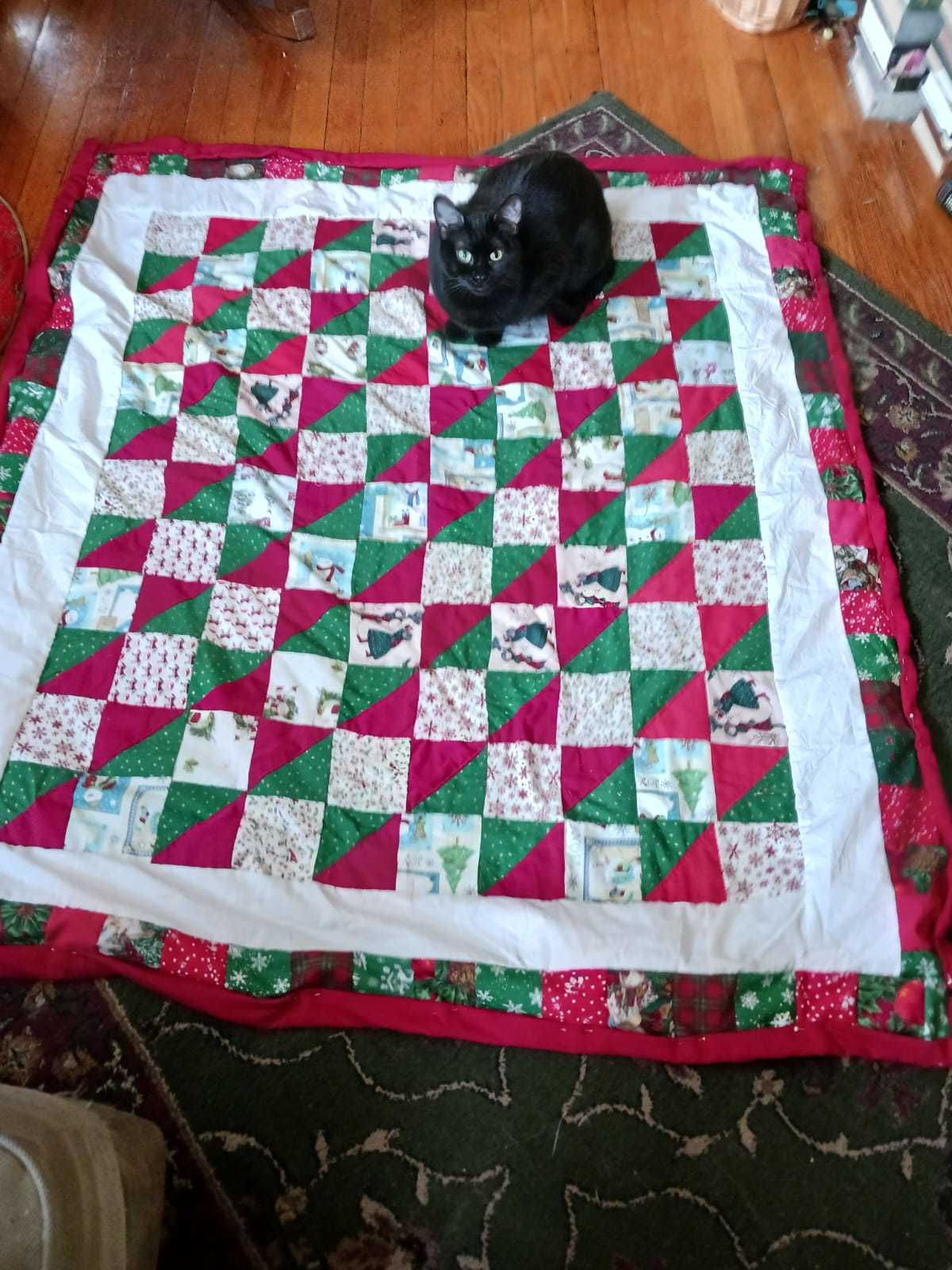 nearly done quilt, cat for scale