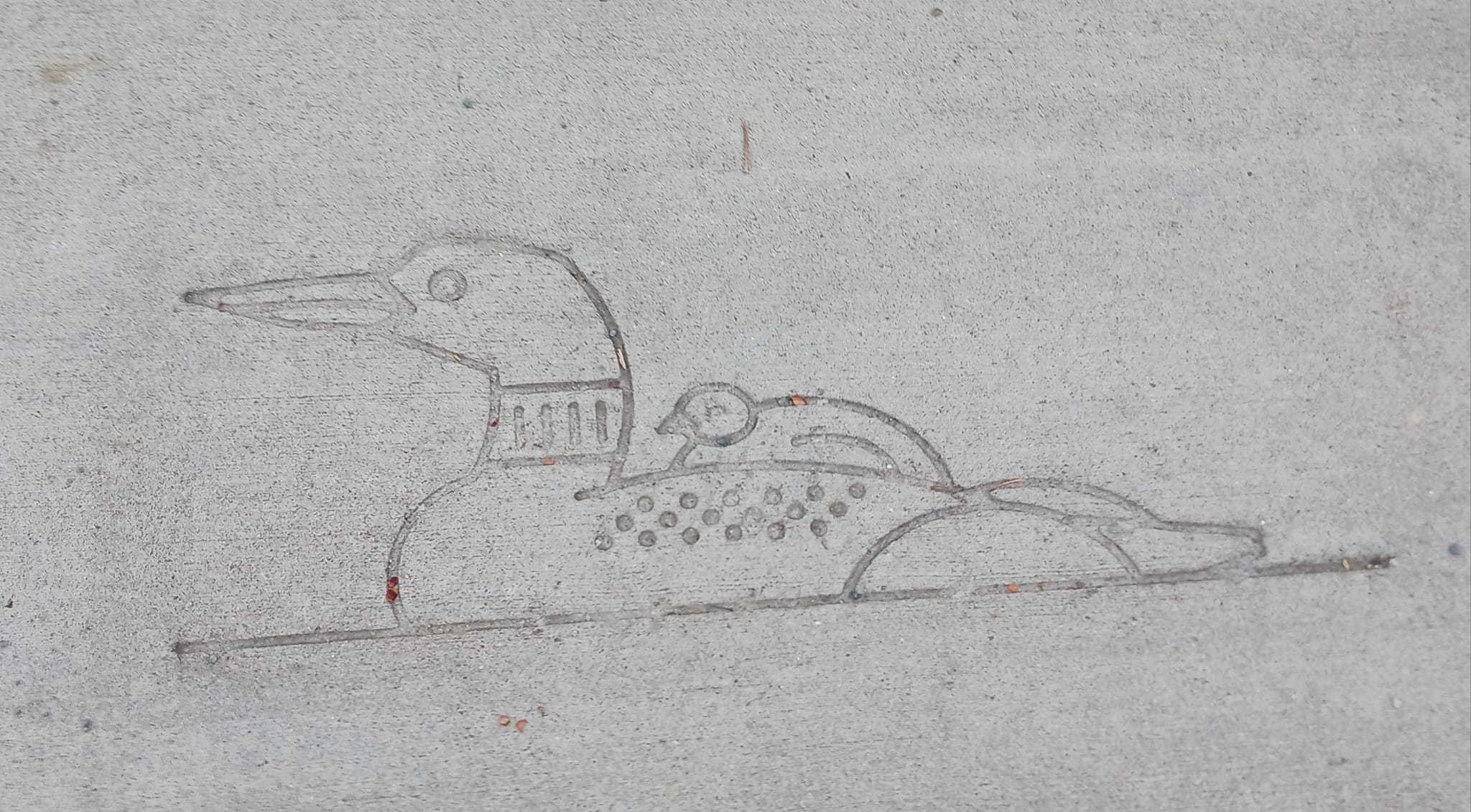 Sidewalk art of a loon and their baby