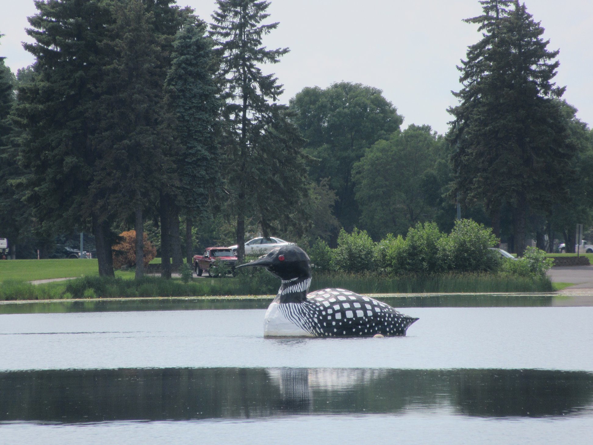 a floating loon sculpture. Yep. Looks just like a big loon on a lake.