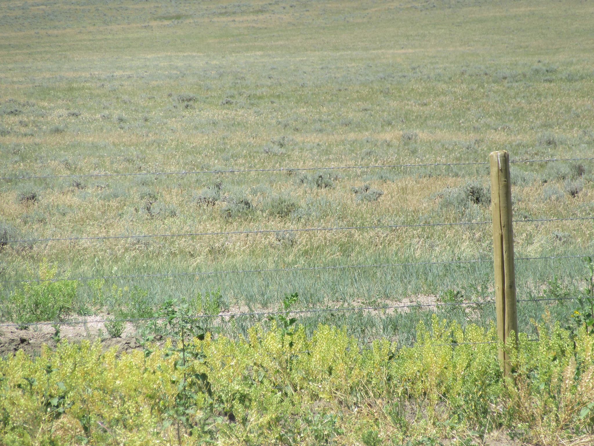 fence post in Wyoming