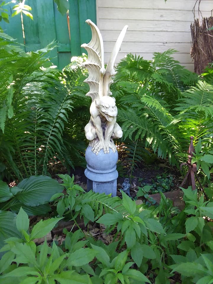 Gargoyle Bill and ferns