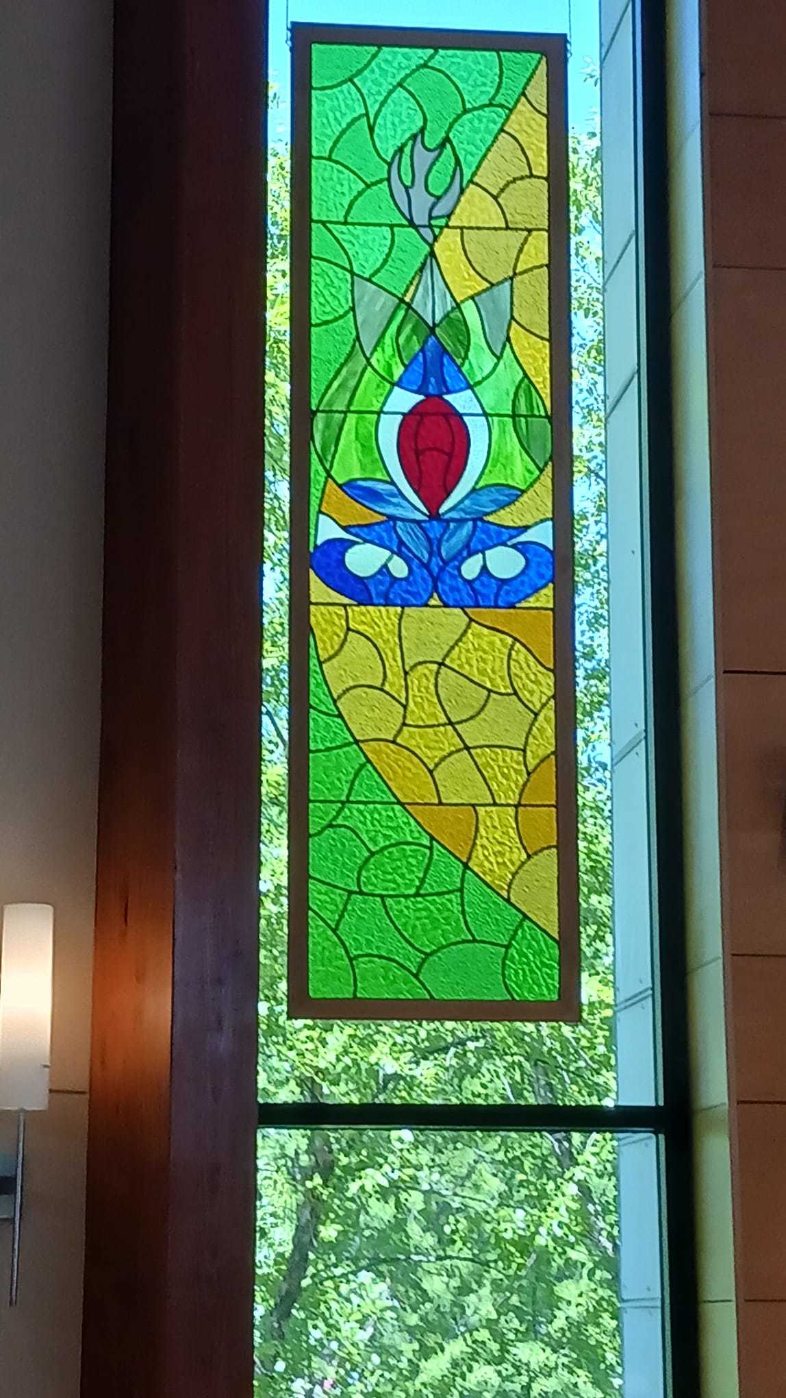 vulva window
