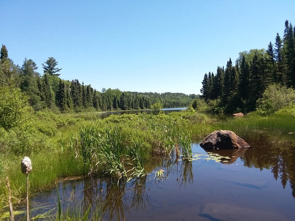 A marshy view of the long-sought Rudy Lake
