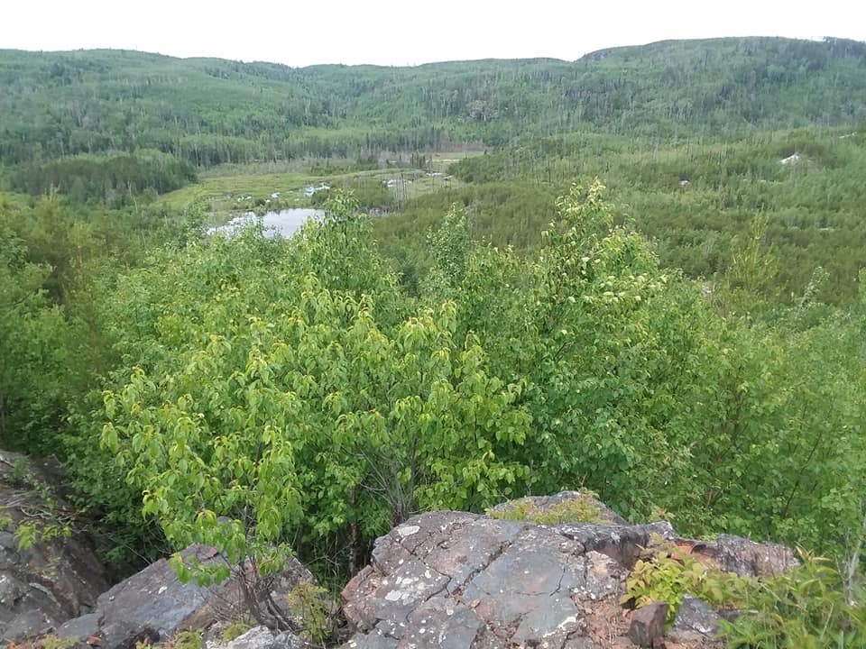 ridge