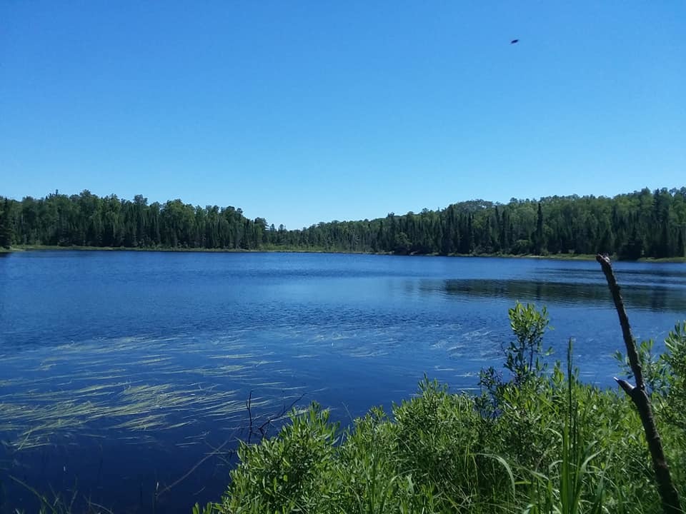 Bear Cub Lake from the shores of the ski trail from hell