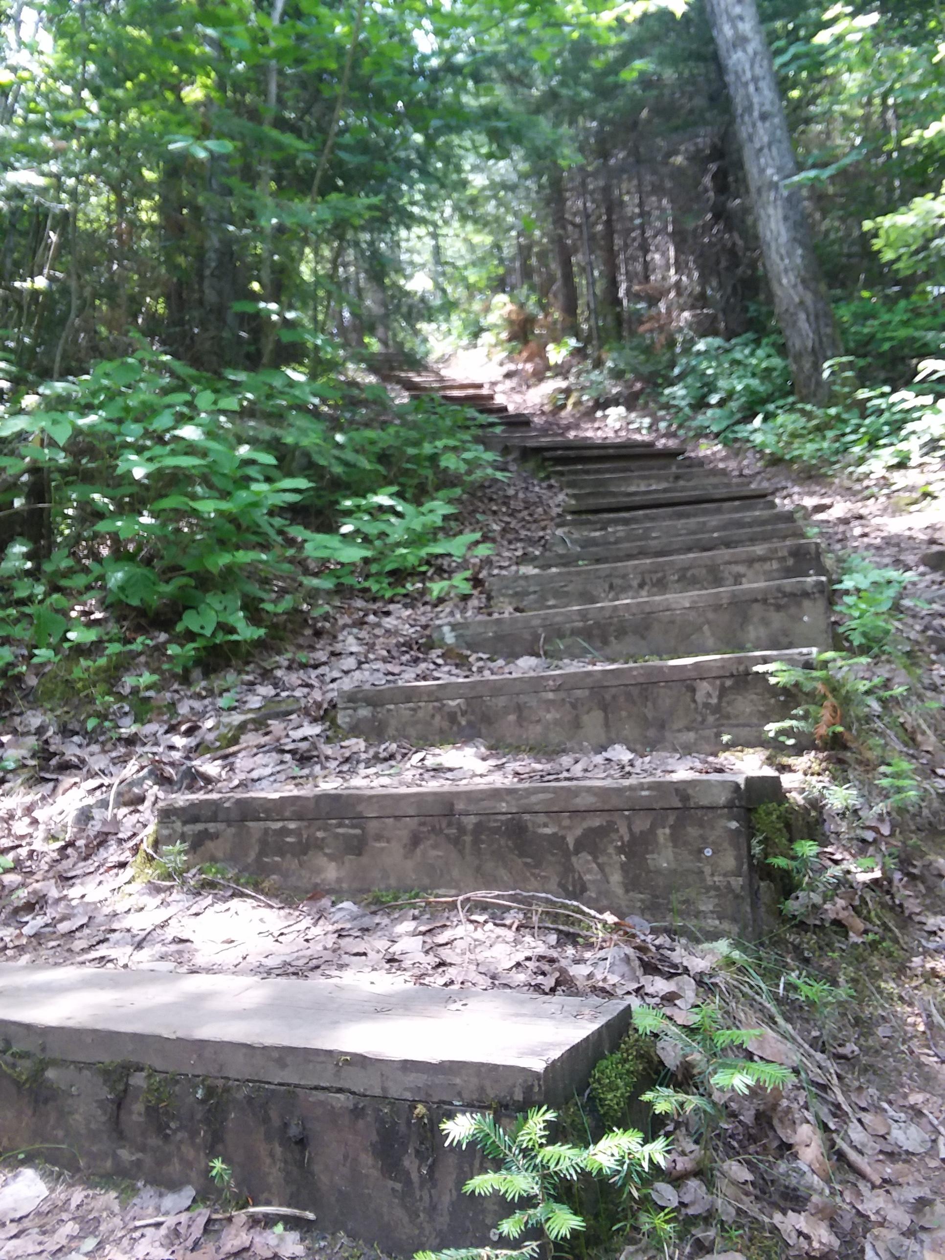 Wooden stairs disappearing UPHILL.