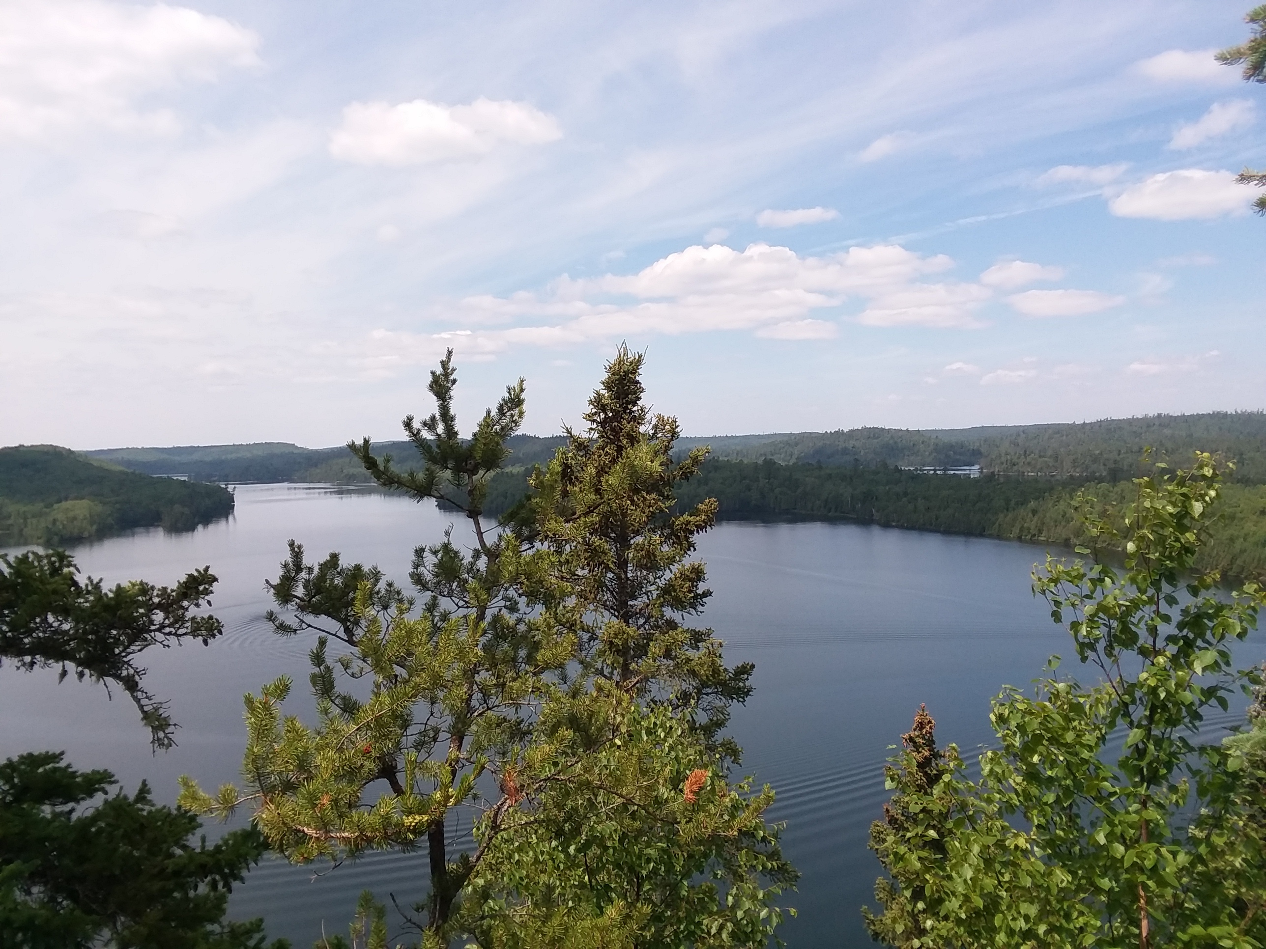 The view from the top of Honeymoon Bluff. Trees and a lake? Technically, if I were taller, you would be able to see three lakes and the Canadian Border.